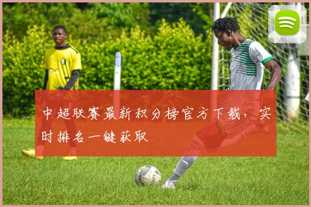 中超联赛最新积分榜官方下载，实时排名一键获取